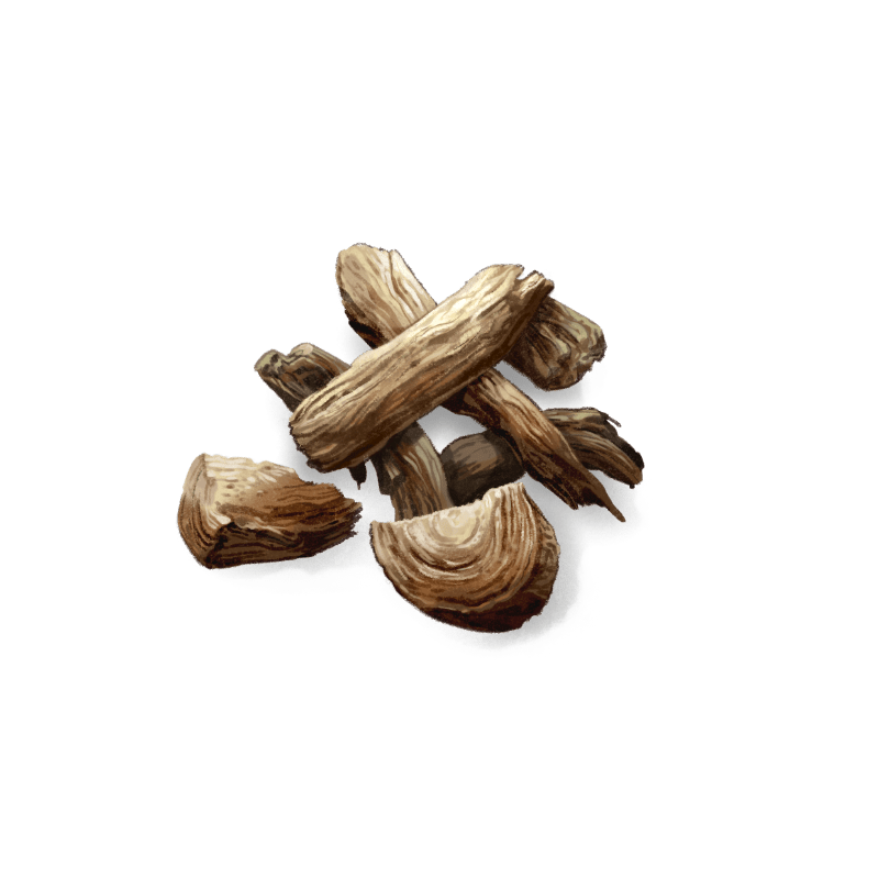 Angelica Root brings all our botanicals together in a harmony of flavours while adding its own character to our gin.