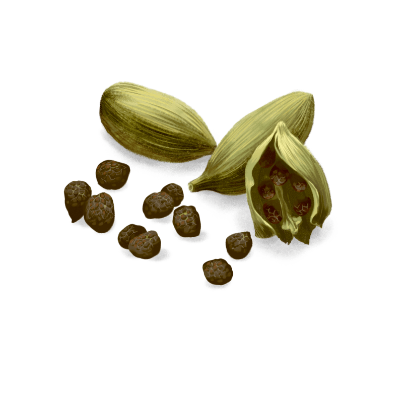 Cardamom adds a unique, yet contradictory note to our gin, as it is hard to describe, but hard to miss.