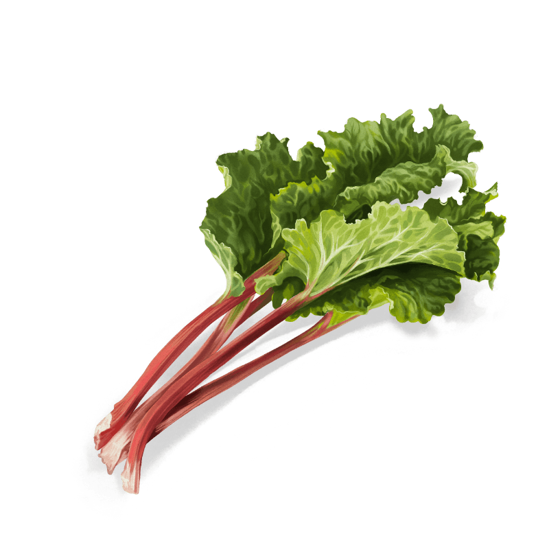 Cold-pressed rhubarb juice adds a signature tartness to our gin, as well as making it unique on the nose.