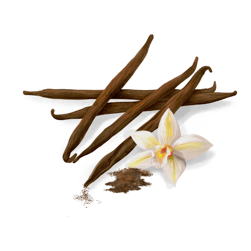 A touch of unexpected sweetness that vanilla adds to our gin, makes every sip a wonderful surprise.